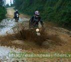 Danang easy riders, Danang easy rider, Da nang easy riders, Da nang easy rider, My Son and Beyond, Hai Van Pass and Beyond, Off-road Adventure Loop, Higher than Hai Van Pass, My Son Adventure Loop, Mountains and Delta Explorer, My Son Explorer, Danang Digested, Danang Discovered, Village Adventure Tracks, Sai Gon – Ben Tre – Can Tho – Chau Doc – Sai Gon, Sai Gon – Central Highlands – Da Lat, Sai Gon – Central Highlands – Hoi An, Sai Gon – Central Highlands – Mui Ne, Sai Gon – Mekong Delta – Chau Doc – Sai Gon, Sai Gon – Central Highlands – Nha Trang, Sai Gon – Mekong Delta – Rach Gia, Tour Highlights – The Grand World Heritage Loop, Ha Noi – Ho Chi Minh Road – Central Highlands – Sai Gon, Hue – Central Highlands – Mui Ne, Prao Hill Tribe Loop, Ho Chi Minh Trail Adventure, Hue Adventure Loop, Hoi An to Hue or Hue to Hoi An, Monkey Madness Adventure, Hue Culture Shock Loop, DMZ Adventure Loop, Jungle Rider Adventure Loop, Hoi An - Hue City, Hoi An to Quang Ngai, Tea Plantations and Villages, Hue – Central Highlands – Sai Gon, Hue – Central Highlands – Nha Trang, Hoi An – Central Highland – Nha Trang, Hoi An – Central Highland – Da Lat, Hoi An – Central Highland – Mui Ne, Hoi An – Central Highland – Da Lat, Hoi An – Central Highland – Sai Gon, Mui Ne – Da Lat, Mui Ne – Central Highlands – Nha Trang, Mui Ne – Central Highlands – Da Lat, Mui Ne – Central Highlands – Sai Gon, Mui Ne – Central Highlands – Hoi An, Nha Trang – Buon Ma Thuoc – Lak Lake – Da Lat, Nha Trang – Central Highlands – Mui Ne, Nha Trang – Central Highlands – Mui Ne, Nha Trang – Central Highlands – Sai Gon, Nha Trang – Central Highlands – Sai Gon, Nha Trang – Central Highlands – Hoi An, Nha Trang – Central Highlands – Hoi An, Nha Trang – Central Highlands – Da Lat